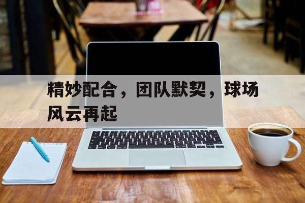 包含精妙配合，团队默契，球场风云再起的词条