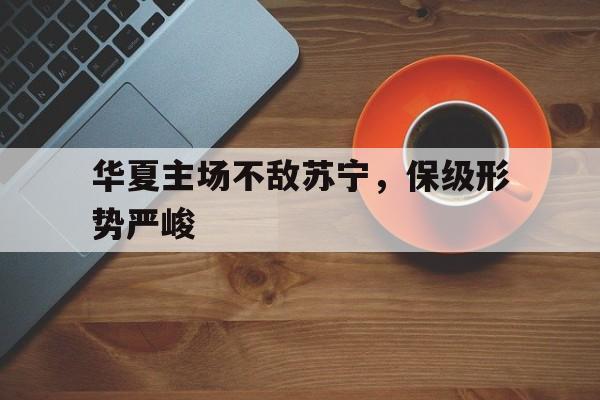 华夏主场不敌苏宁，保级形势严峻的简单介绍