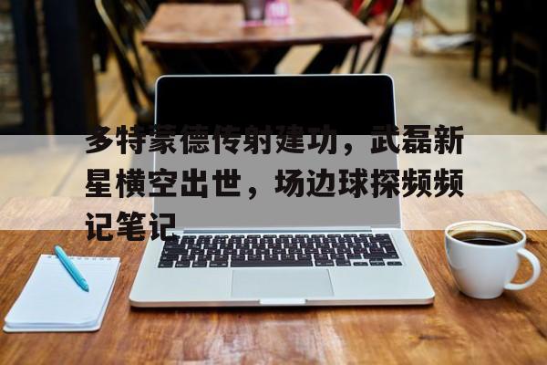 多特蒙德传射建功，武磊新星横空出世，场边球探频频记笔记多特蒙德球员介绍